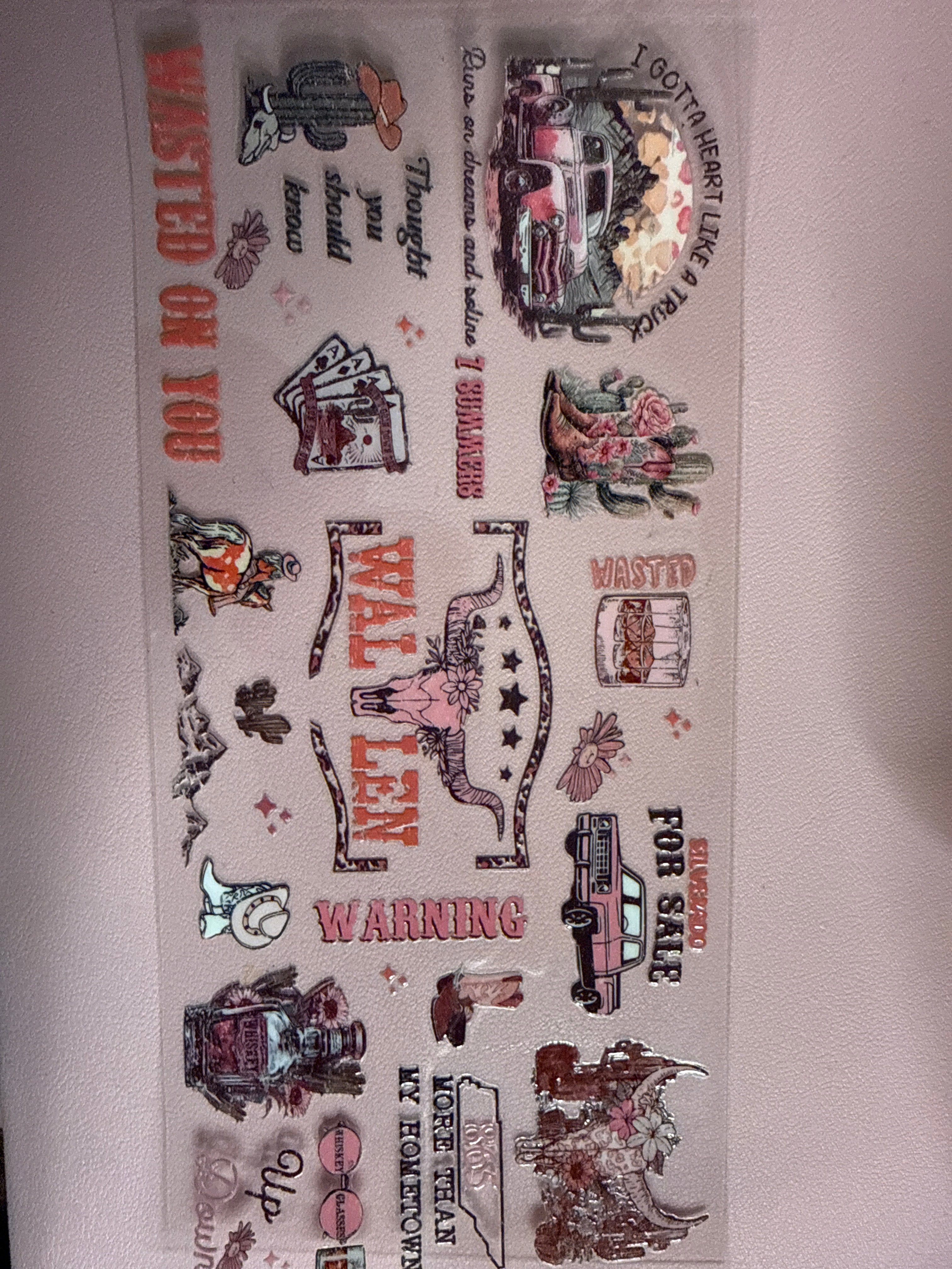 Country Singer Decal